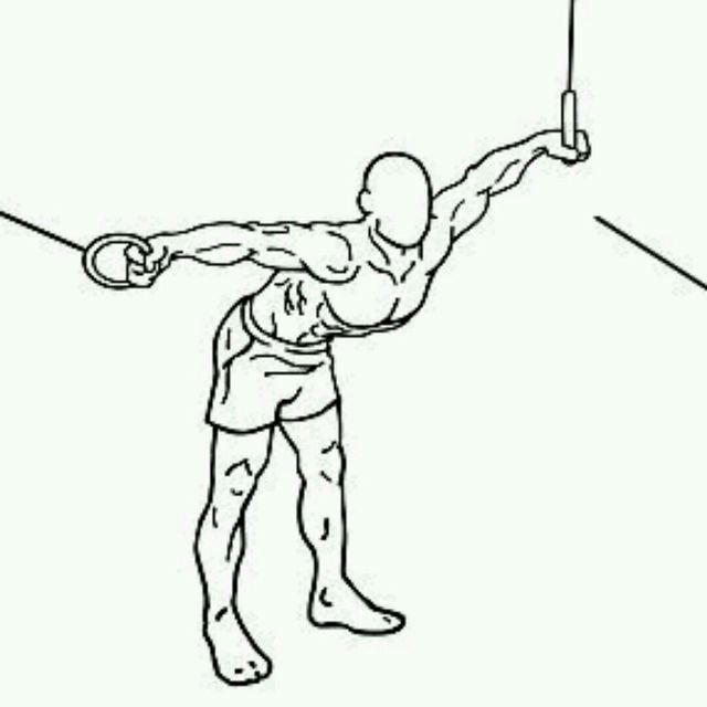 Cable Chest Butterfly by Dima S. Exercise Howto Skimble