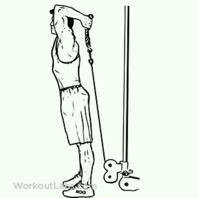 CM Low Pulley Two Arms Overhead Triceps Extensions Exercise Howto