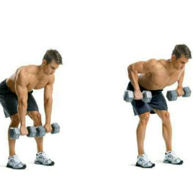 Dumbbell Pendlay Row by Sonia R. Exercise Howto Skimble