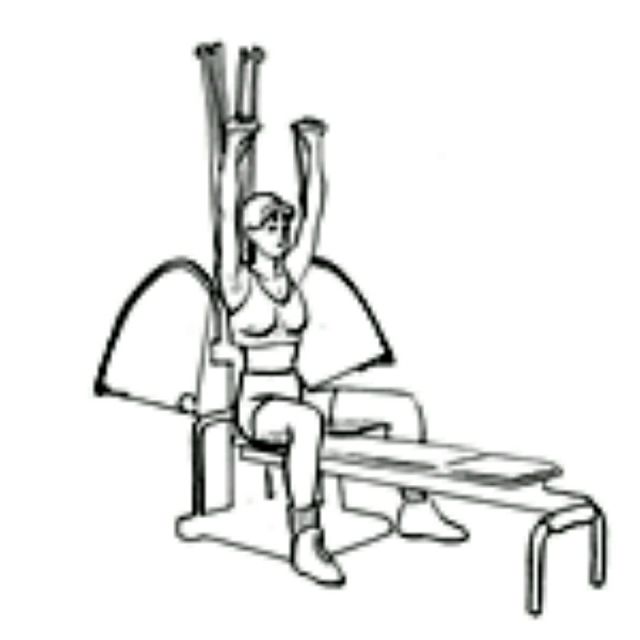 25 DIY Garden Bench Ideas Free Plans for Outdoor Benches Bowflex Bench Press