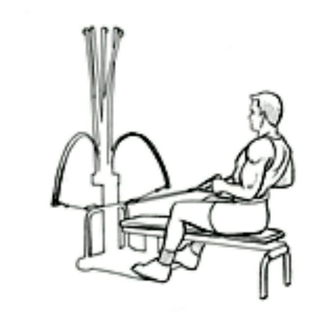 Bowflex Seated Lat by John H. - Exercise How-to - Skimble