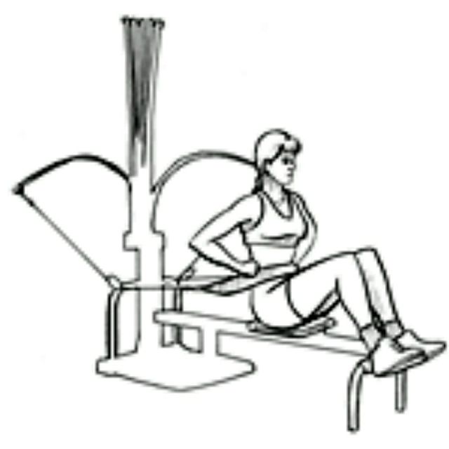Bowflex Leg Curl - Exercise How-to - Workout Trainer by Skimble