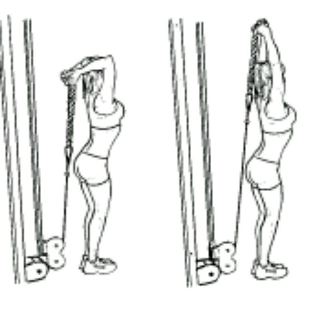 Overhead cable Tricep Extensions Exercise Howto Skimble