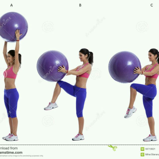 Stability Ball High Knees by Sonia R. Exercise Howto Skimble
