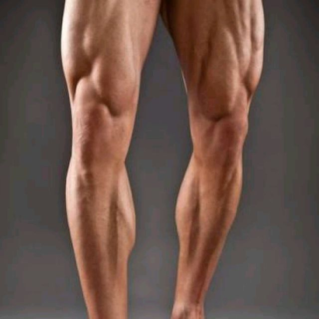 Day 3 Legs & Calves Free Moderate Workout by Brandon M. Skimble