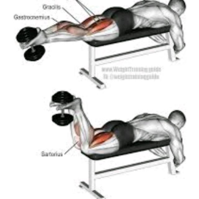 Dumbbell Hamstring Curl Exercise Howto Workout Trainer by Skimble