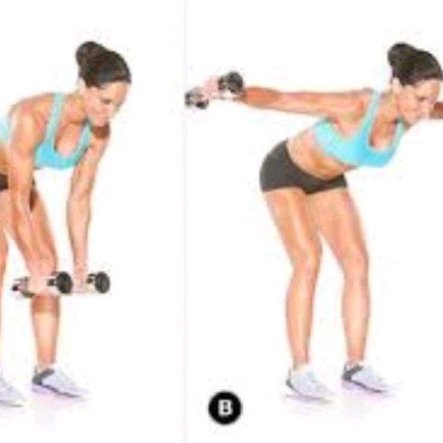 Dumbbell Rear Delt Fly by Atılgan A. Exercise Howto Skimble