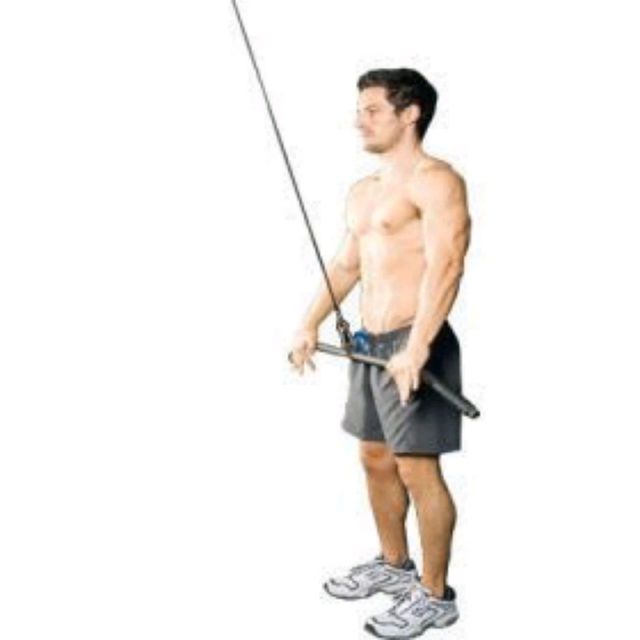 Pullover Polea Alta by Andres Velasquez Ejercicio Cómo hacerlo Skimble