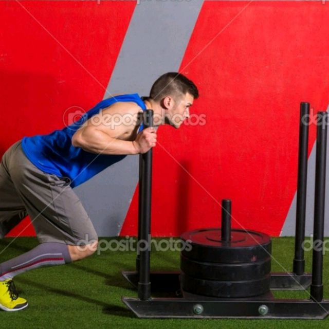 Sled by A P. Exercise Howto Skimble Workout Trainer