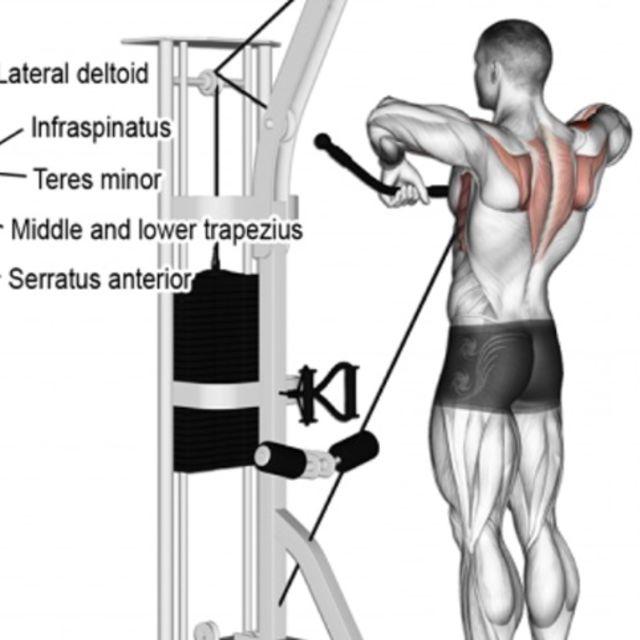 Medial Cable Grip Upright Rows Exercise Howto Workout Trainer by