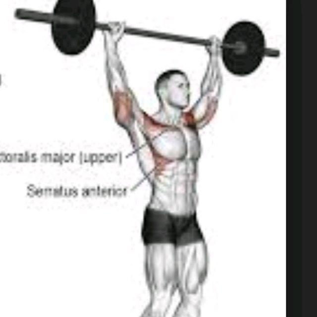 military press 35kg by Alessandro Bertini Exercise Howto Skimble