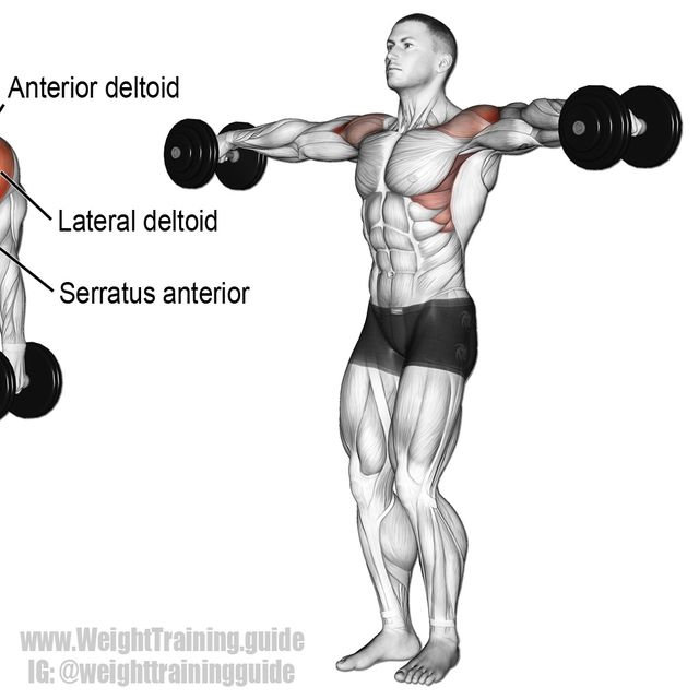 Front & Lateral Shoulder Raises by Noel Fernandes Exercise Howto