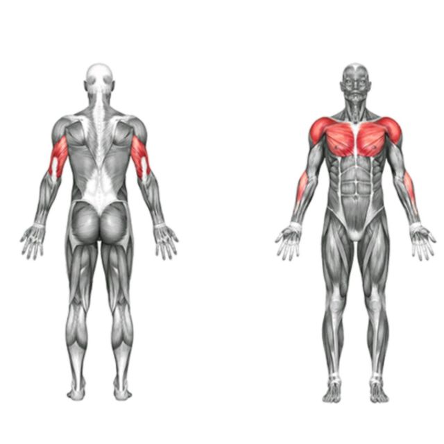 Chest Bodyweight Push Up Exercise Howto Workout Trainer by Skimble