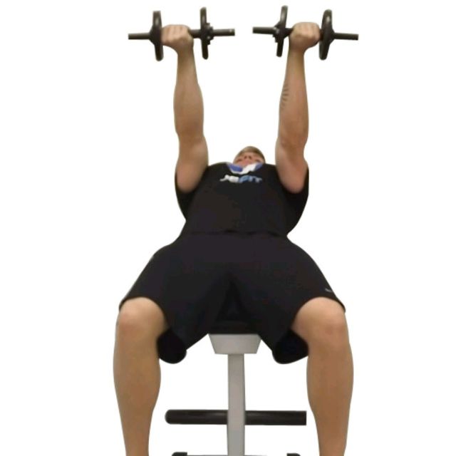 Reverse Grip Dumbbell Press by D. Jack Exercise Howto Skimble