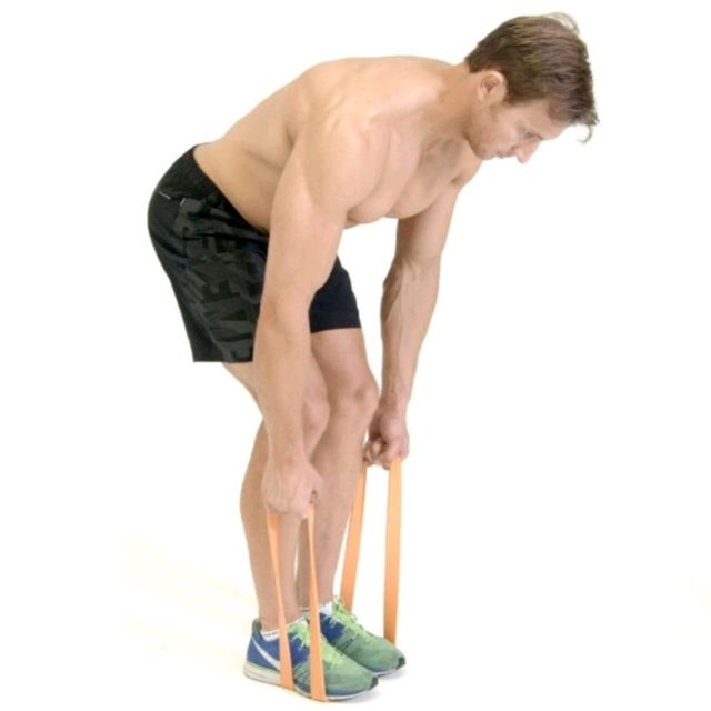 Banded BentOver Row Exercise Howto Workout Trainer by Skimble