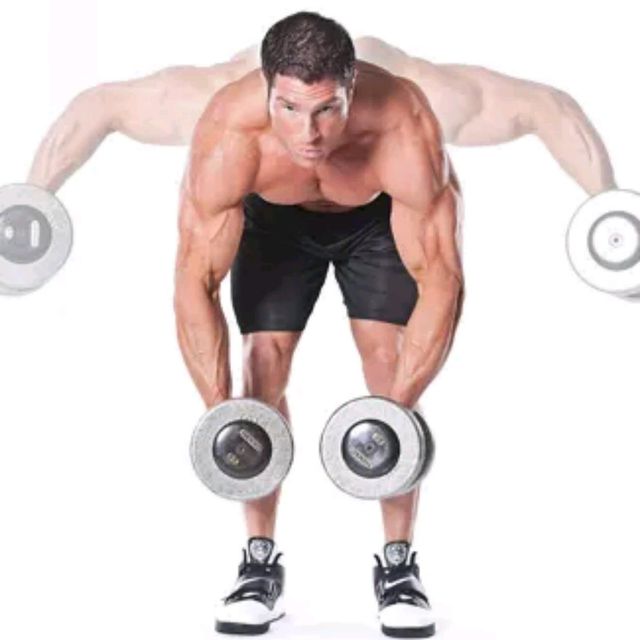 BentOver Dumbbell Lateral Raise Exercise Howto Workout Trainer by