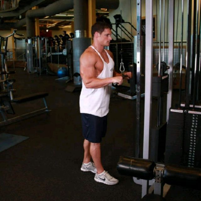 Cable Tricep Pull Down por Elisabetta Bruno Ejercicio Cómo hacerlo