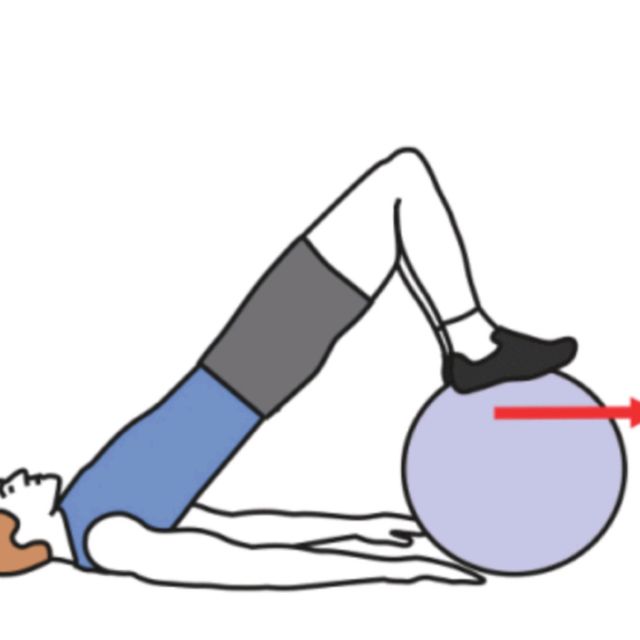 Knee Flexion On Ball Exercise Howto Workout Trainer by Skimble