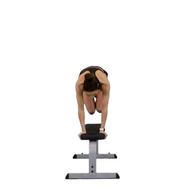 Bench Hops by Tara L. Exercise Howto Skimble Workout Trainer