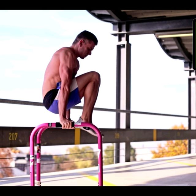 Knee Raises Dip Position by Andrew Walz Exercise Howto Skimble