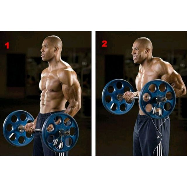 Barbell Drag Curls by Arman Zolrahmi Exercise Howto Skimble