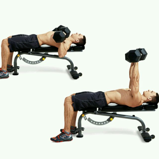 (Chest) RockDumbbell Bench Press by Cleared C. Exercise Howto Skimble