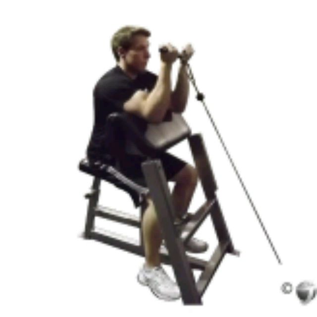 Cable Preacher Curls by Zunaid S. Exercise Howto Skimble