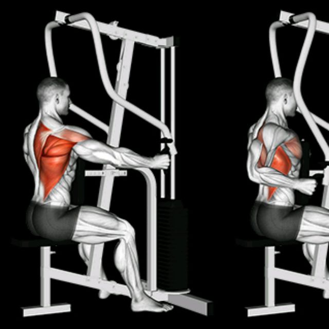 Machine One Arm Row Exercise Howto Workout Trainer by Skimble