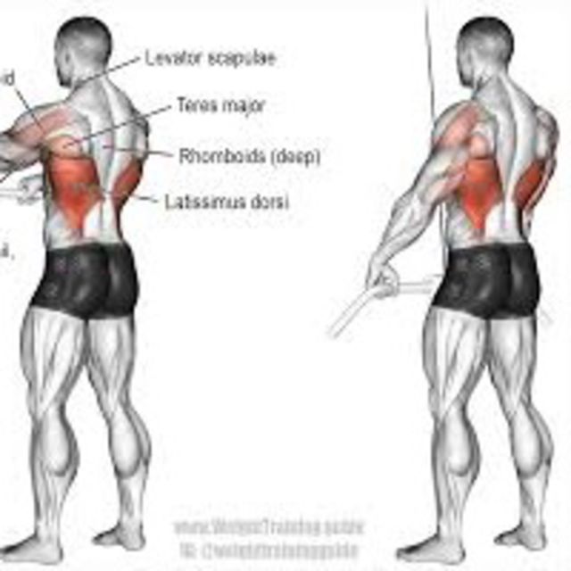 Straight Arm Pulldown by Enver Aydin Exercise Howto Skimble