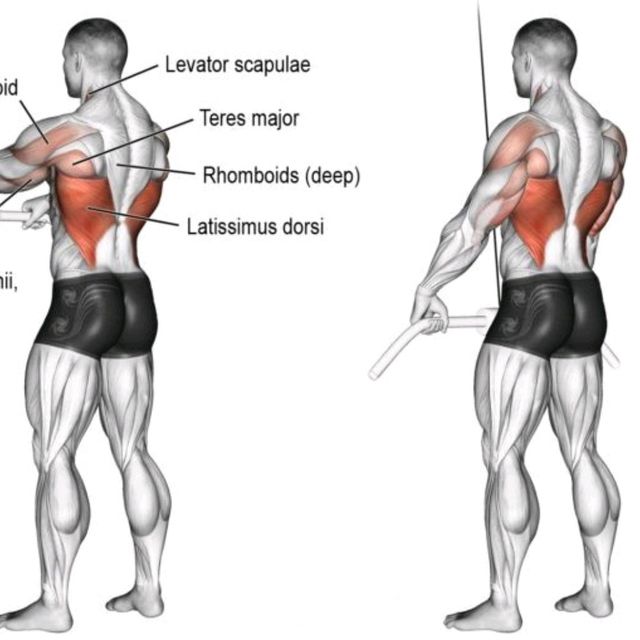 Straight Arm Pull Down Exercise Howto Workout Trainer by Skimble