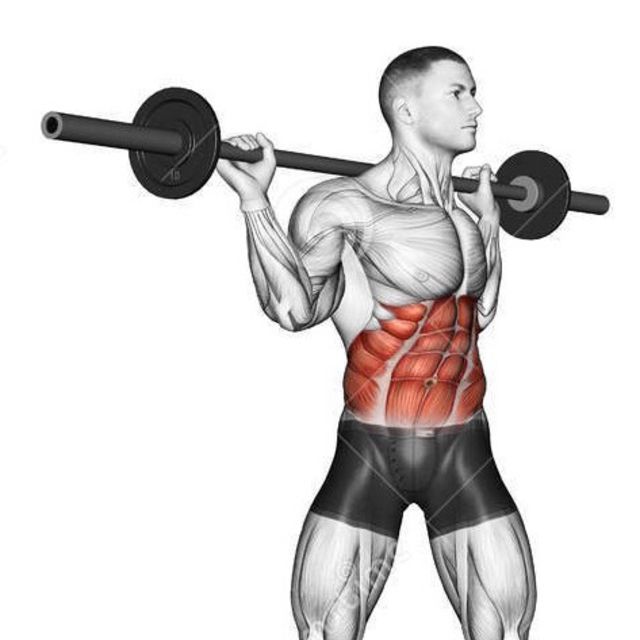 Barbell Torso Twists Exercise Howto Workout Trainer by Skimble