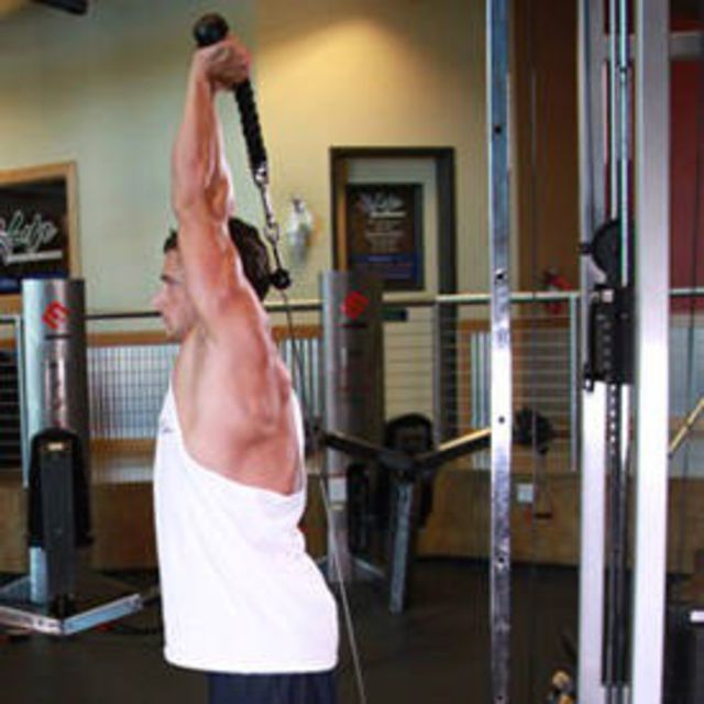 Cable Tricep Pull Up 5/10 by Kyle Matzdorf Exercise Howto Skimble