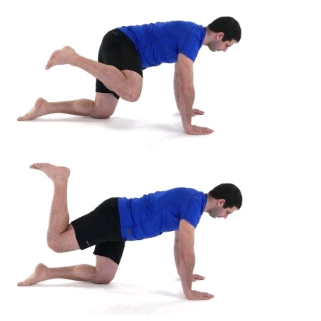 Quadruped hip CAR Exercise Howto Workout Trainer by Skimble