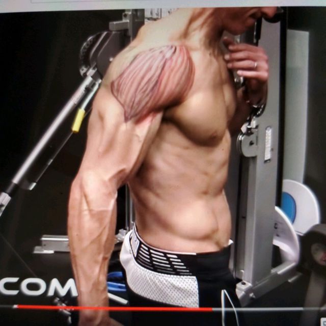 Mid Delt Cable Lateral Raise Exercise Howto Workout Trainer by Skimble