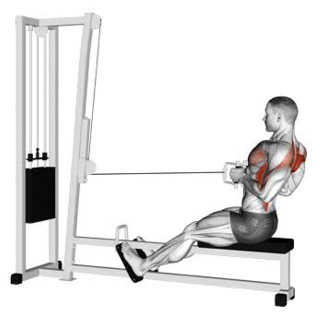 Seated Row Neutral Narrow Grip by Paul Sands Exercise Howto Skimble