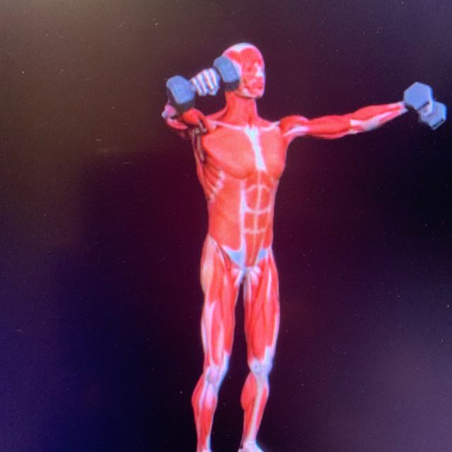 Dumbbell Arm Circles Exercise Howto Workout Trainer by Skimble