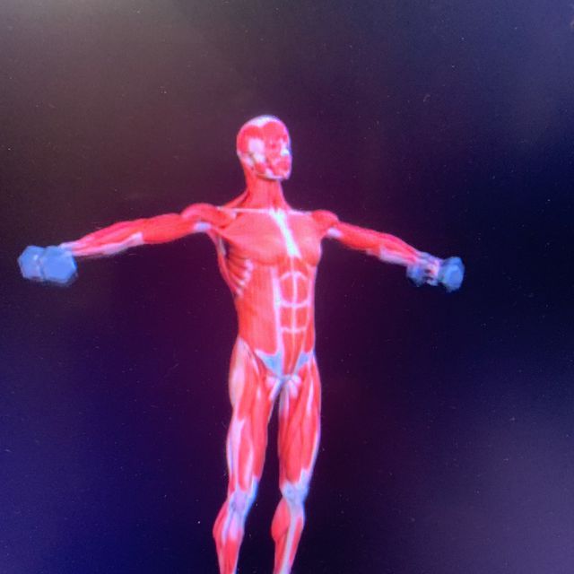 Dumbbell Arm Circles Exercise Howto Workout Trainer by Skimble