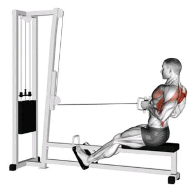 Seated Row by Blissed Out Baker plant Based Chef Exercise Howto