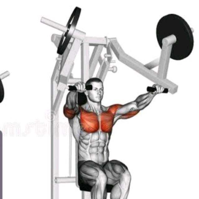 Shoulder Press ( Hammer ) by David M. Exercise Howto Skimble