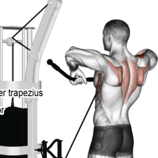 Upright Row ( Cable ) Exercise Howto Workout Trainer by Skimble