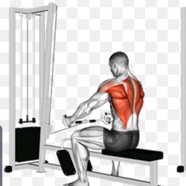 Seated Row by David M. Exercise Howto Skimble