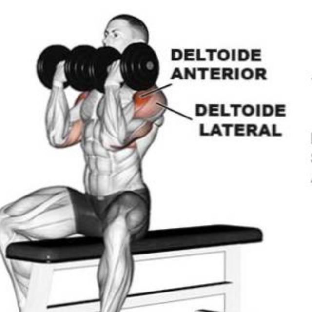 Arnold Press by Resxcue Rx Exercise Howto Skimble