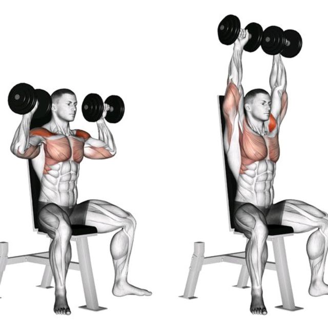 Dumbell Shoulder Press Seated by Blissed Out Baker plant Based Chef