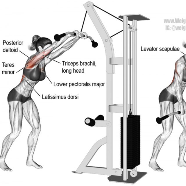 Straight Arm Cable Pulldown Exercise Howto Workout Trainer by Skimble