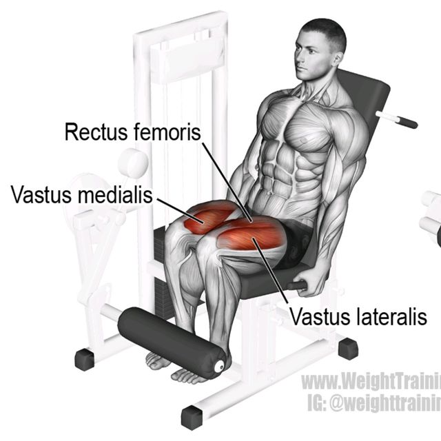 Leg Extensions by Litabel L. Exercise Howto Skimble