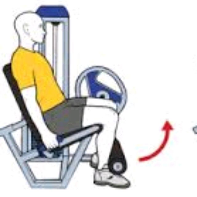 Extensión Cuadriceps 21 Medio Arriba by Javier C. Ejercicio Cómo