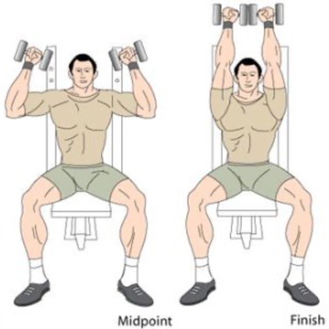 Dumbbell Arnold Press Exercise Howto Workout Trainer by Skimble