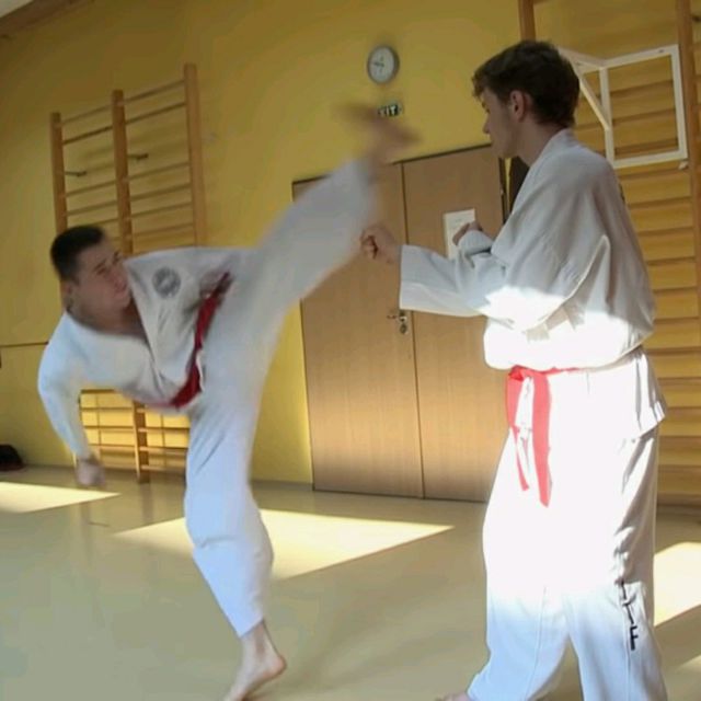 Wheel Kick Left • Bandae Dollyo Chagi by Bernadette C. Exercise How