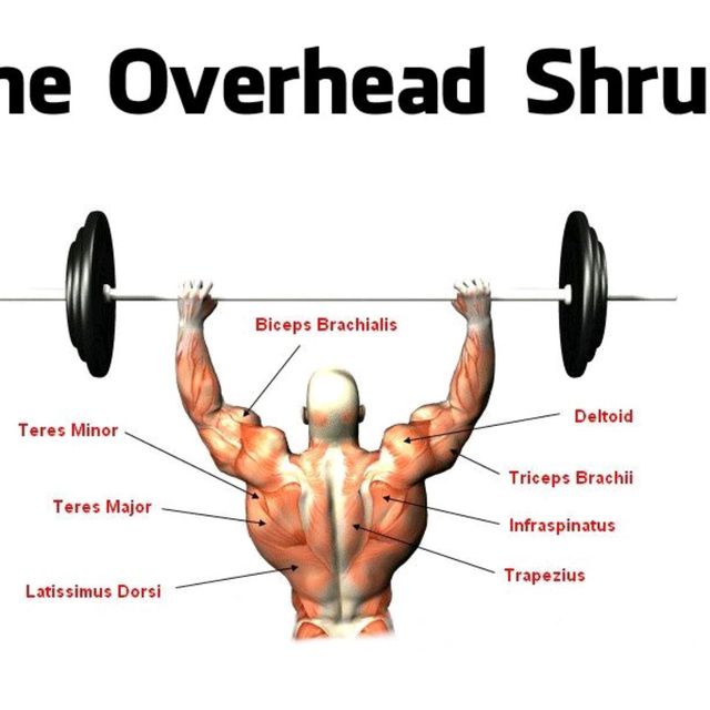 Overhead Shrug by Uncle Heiko S Exercise Howto Skimble