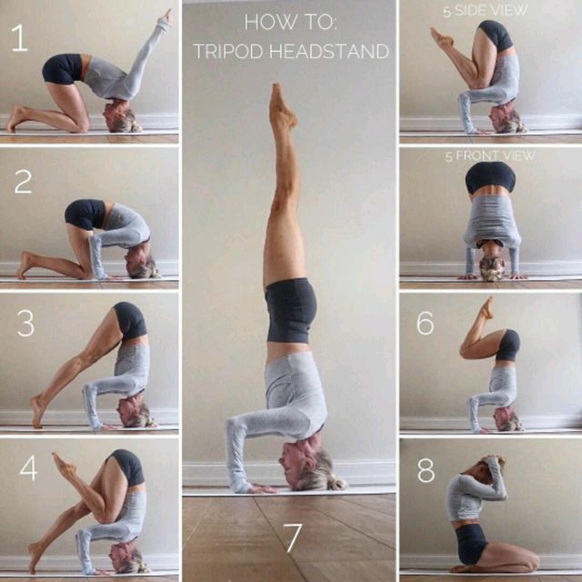 Tripod Headstand 💥 Exercise Howto Workout Trainer by Skimble